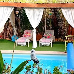 Apartamento Casa Bohème Da Valdareina, Bénagil, Carvoeiro, Marinha, Carvoeiro (Lagoa)